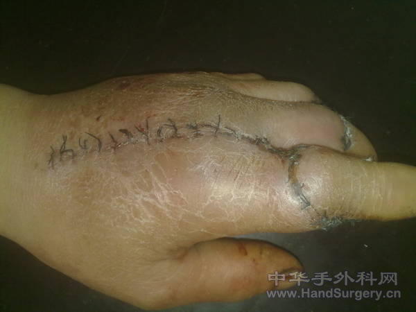 201104161019.jpg