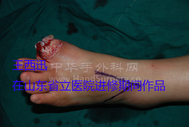 DSC_0237副本.jpg