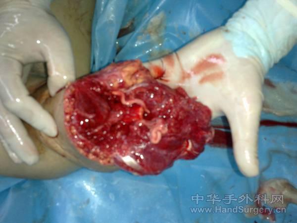 20110508111.jpg