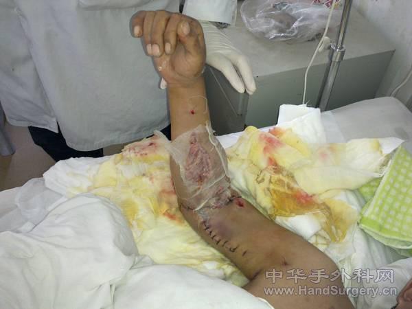 20110514179.jpg