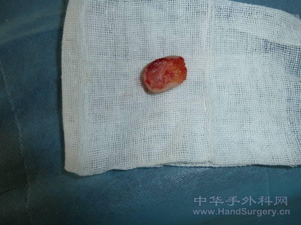 P1020148.JPG