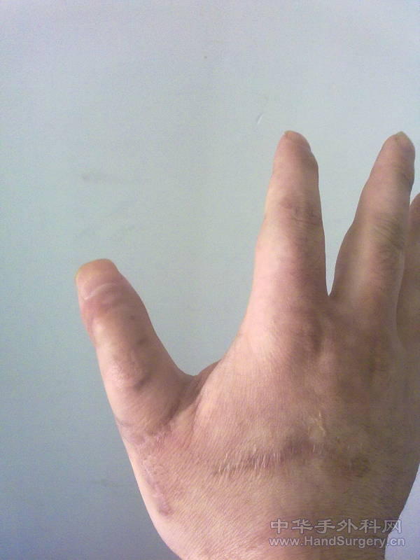 20110527063.jpg