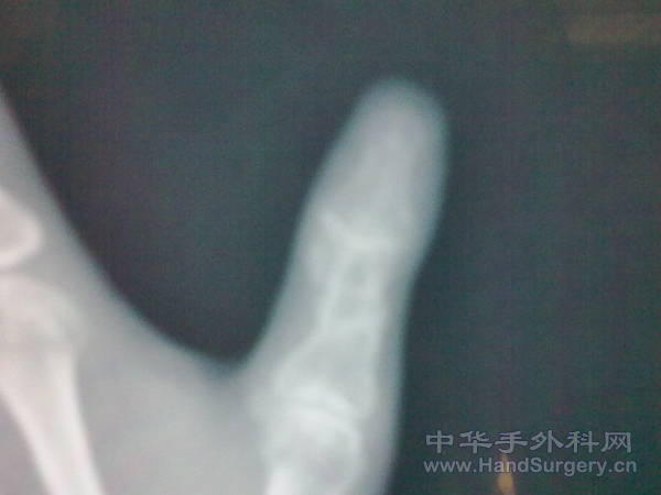 20110527057.jpg