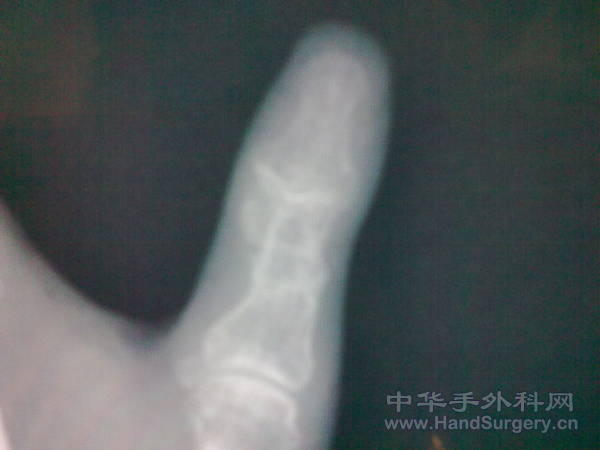 20110527056.jpg