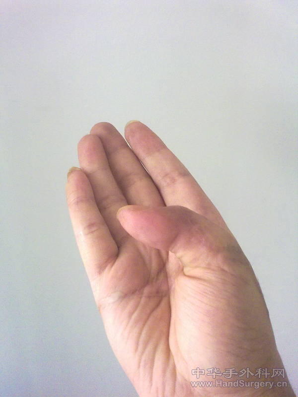20110527058.jpg