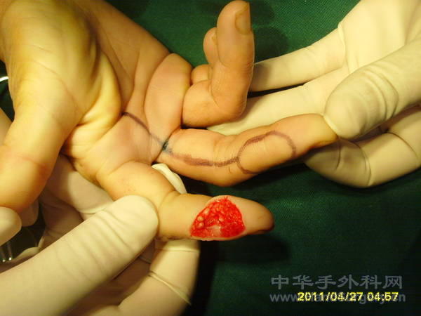 SSL20134.JPG