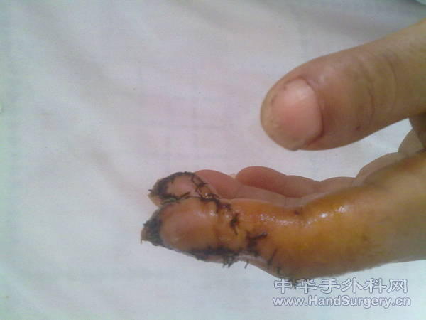 201105231149.jpg