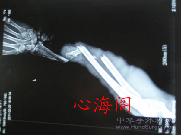 IMG_5026_副本.jpg