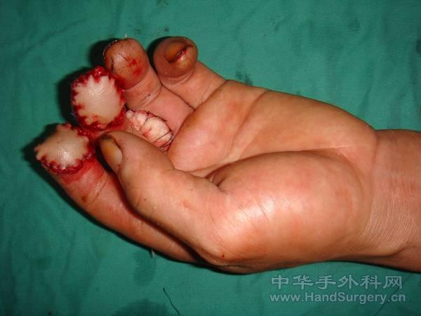 图片5.jpg