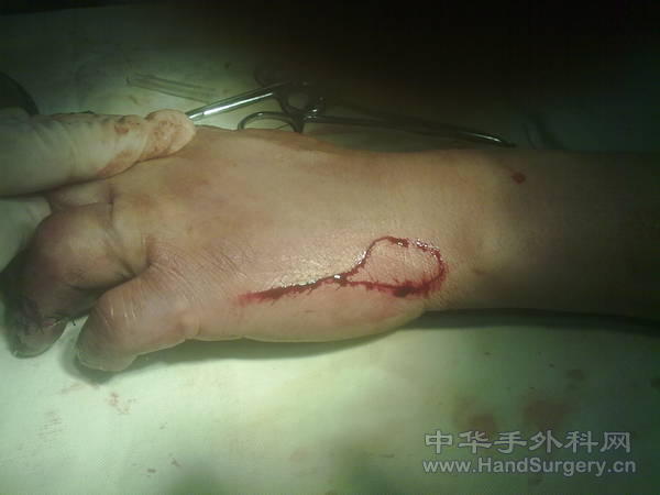 201104301071.jpg