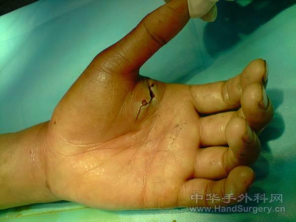 P120511_11.05[01].JPG
