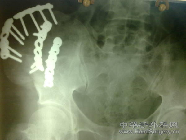 照片 077.jpg