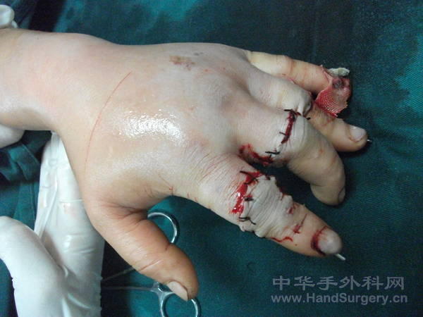 照片 321.jpg