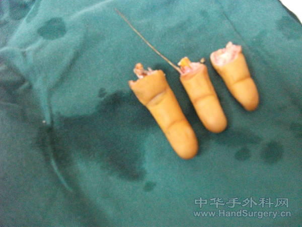 照片 314.jpg