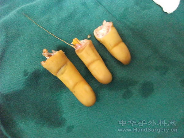照片 315.jpg