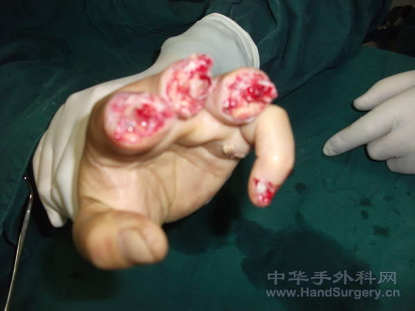照片 318.jpg