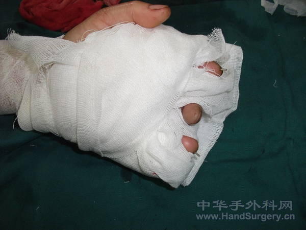 照片 319.jpg