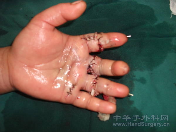照片 320.jpg