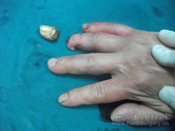 照片 190.jpg