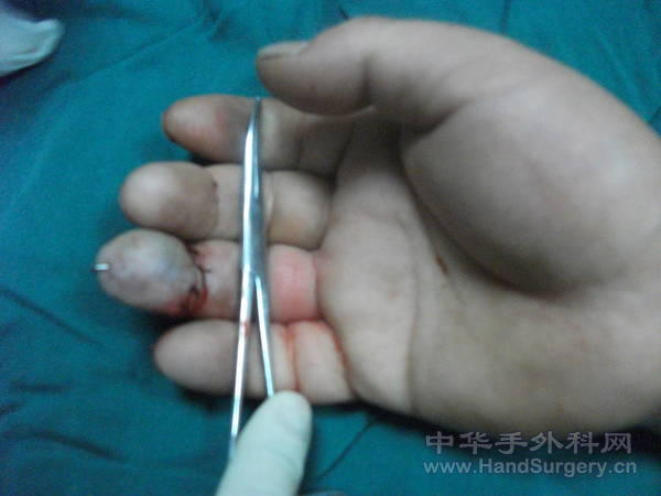 照片 196.jpg