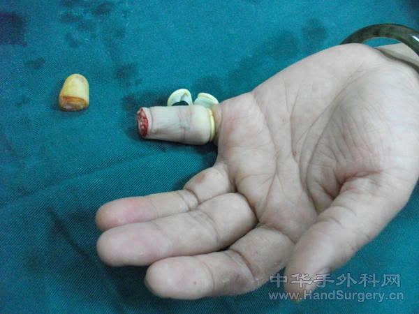 照片 310.jpg