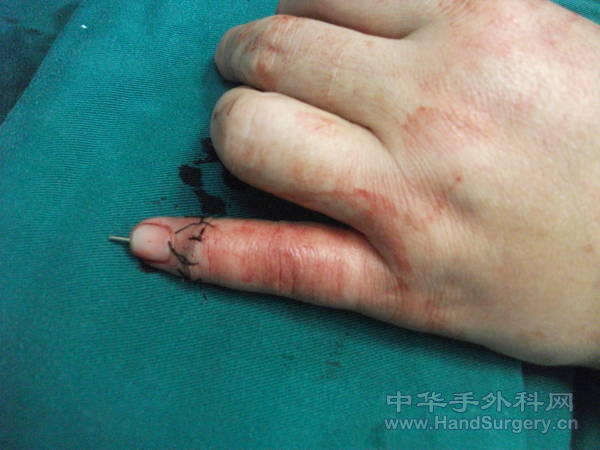 照片 311.jpg