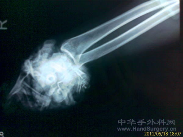 IMAGE_276.jpg