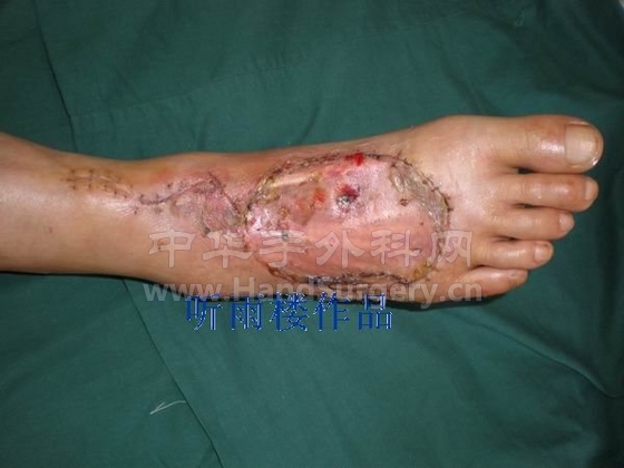 调整大小 P7040054.jpg