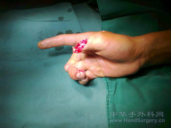 照片0245.jpg