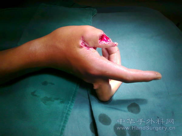 照片0246.jpg