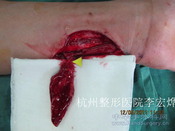IMG_3686_副本.jpg
