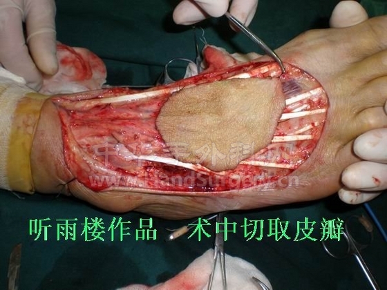 调整大小 P6130051.jpg