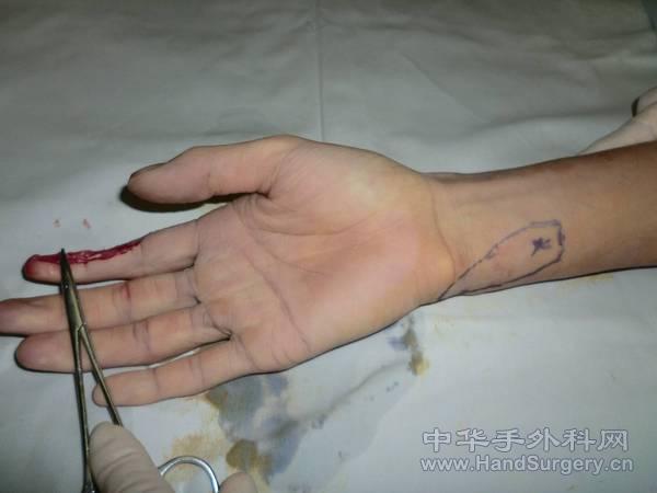 图片2.jpg