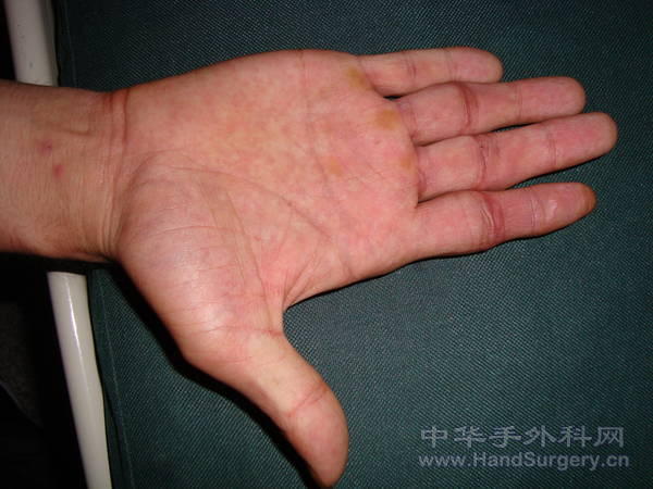 DSC08608.JPG