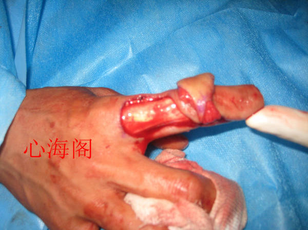 img_1942_副本.jpg