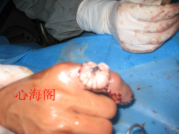 img_1944_副本.jpg