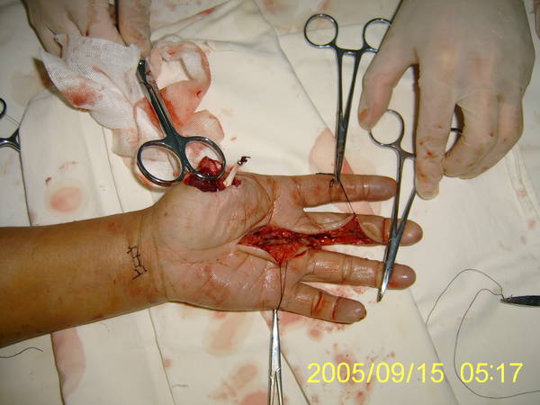 S5300003.JPG