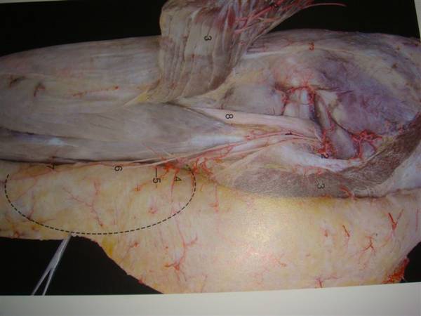 http_imgloadCA83MA7A.jpg