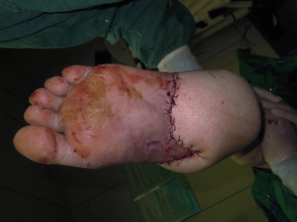 DSCN8520.JPG