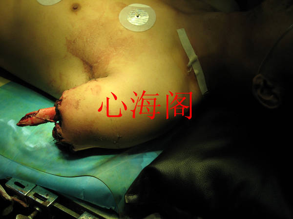 IMG_0377_副本.jpg