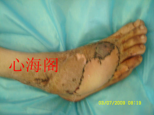sl731666_副本.jpg
