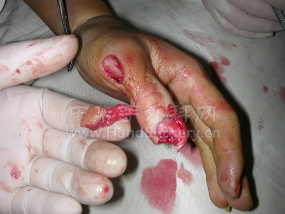 image30.JPG