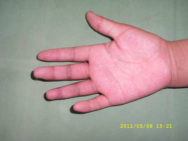 SL270869.JPG