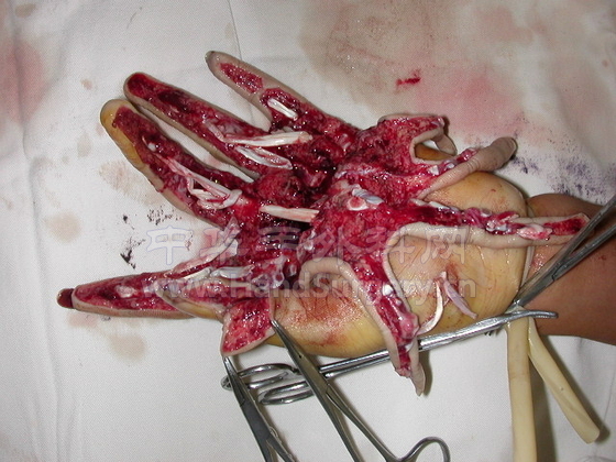 20070524 003.jpg