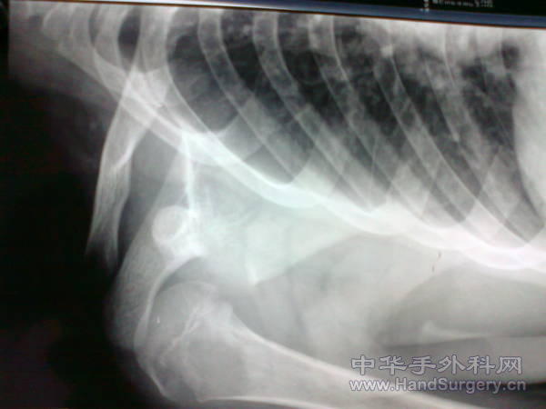 照片0217.jpg