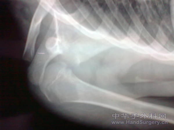 照片0213.jpg