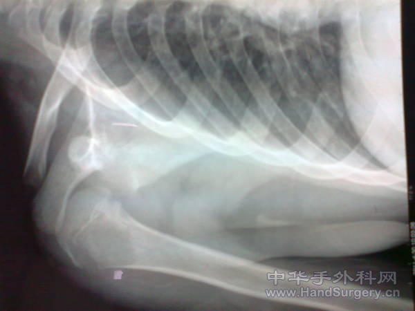 照片0214.jpg