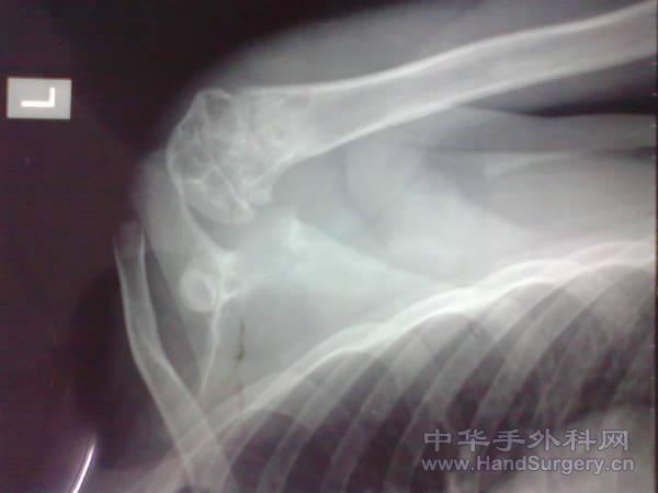 照片0215.jpg