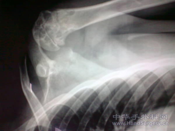 照片0216.jpg