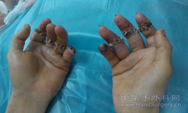 IMG_20110604_162505.jpg